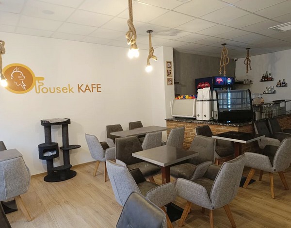 kafé fousek